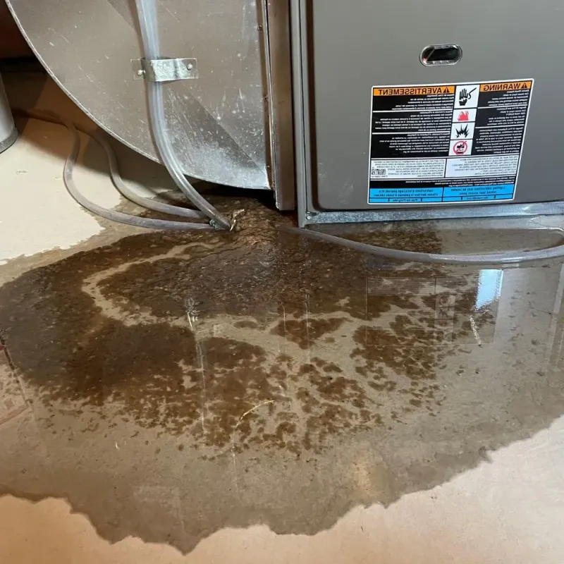Pipe Burst and Leak Restoration in Tamaqua, PA