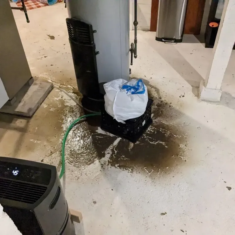 Sewage Backup Cleanup Service in Tamaqua, PA